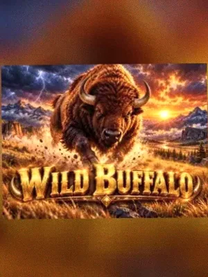Wild Buffalo at Stay