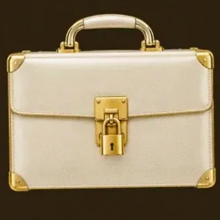 Locked leather briefcase — Stay