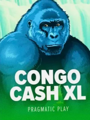Congo Cash XL at Stay